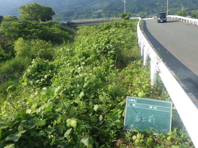 RIMG7421